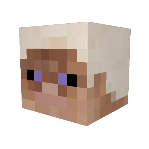 remskies Minecraft avatar head, 3D render