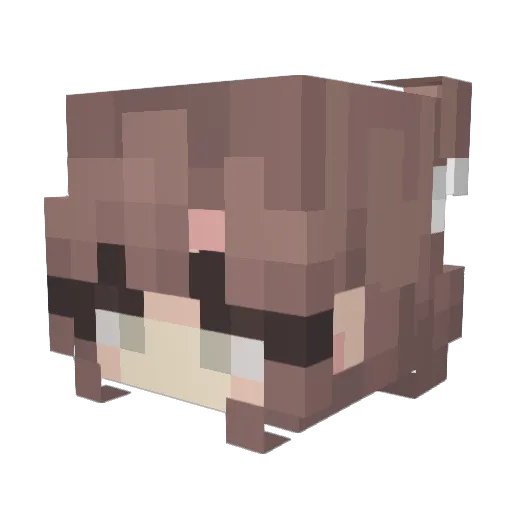 ren3480 Minecraft avatar head, 3D render