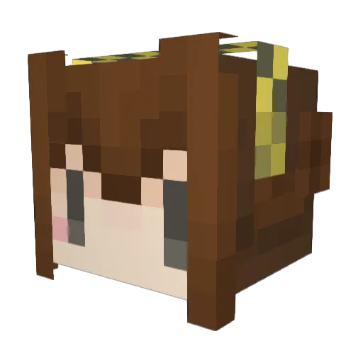 ren_rein Minecraft avatar head, 3D render