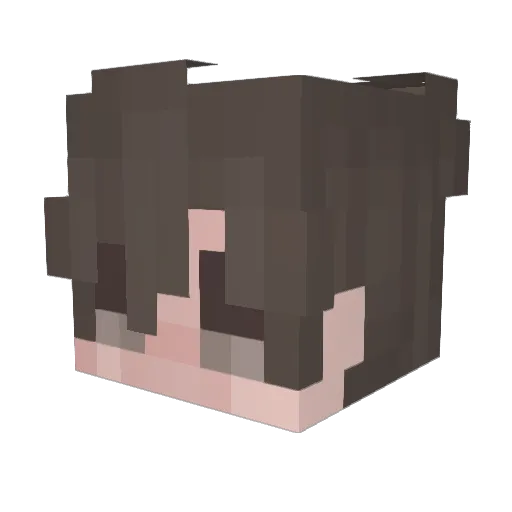 renanzin321 Minecraft avatar head, 3D render