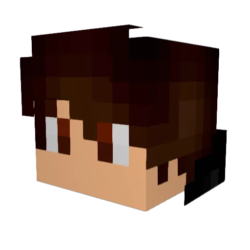 renanzin882 Minecraft avatar head, 3D render