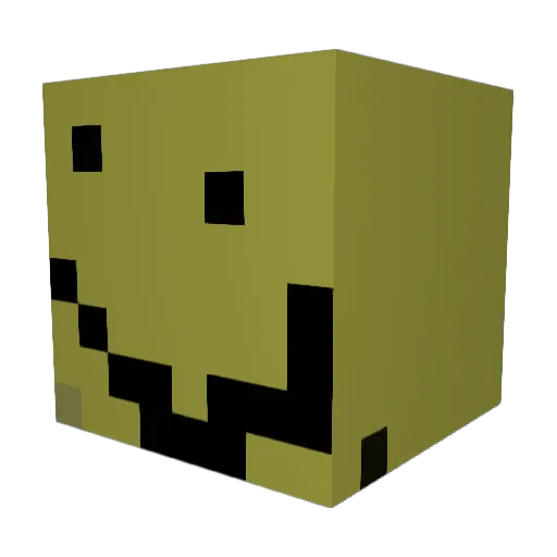 renard489 Minecraft avatar head, 3D render