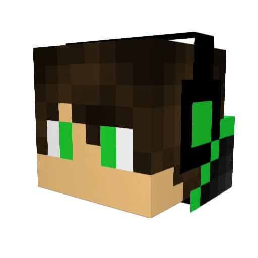 renchan1205 Minecraft avatar head, 3D render