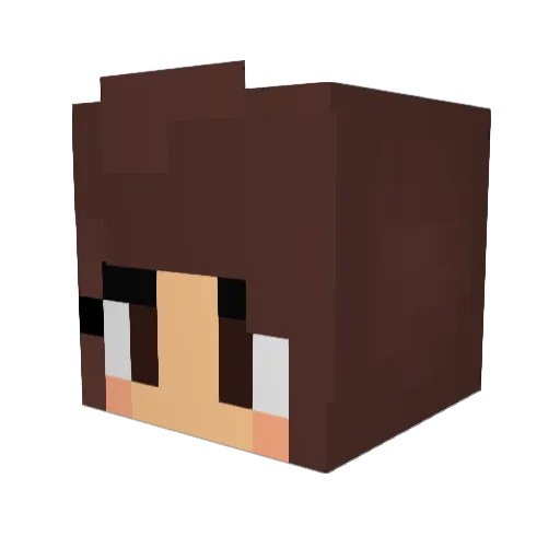 rencherry54 Minecraft avatar head, 3D render