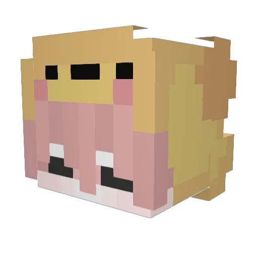 renchimaru19 Minecraft avatar head, 3D render
