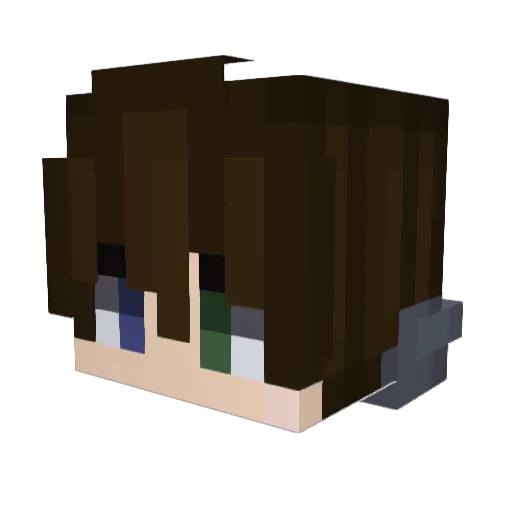 rene_zockt1 Minecraft avatar head, 3D render