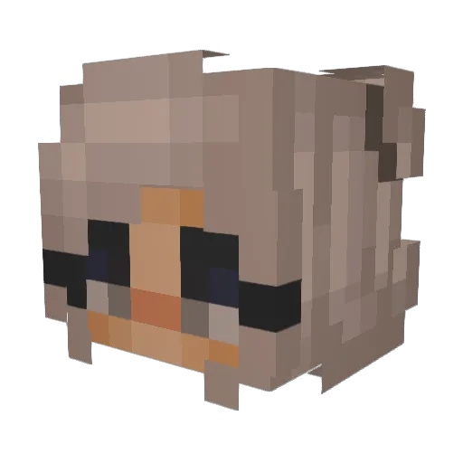 reneeisawesome Minecraft avatar head, 3D render