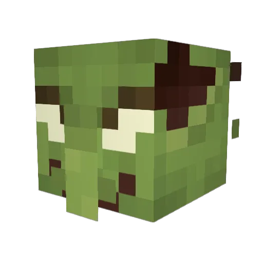 renegadecaster Minecraft avatar head, 3D render