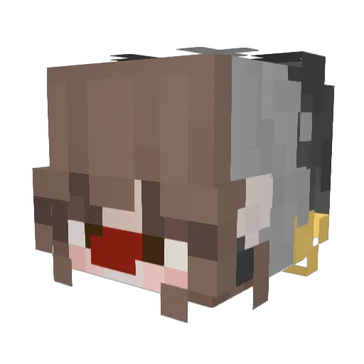 reneisgone Minecraft avatar head, 3D render