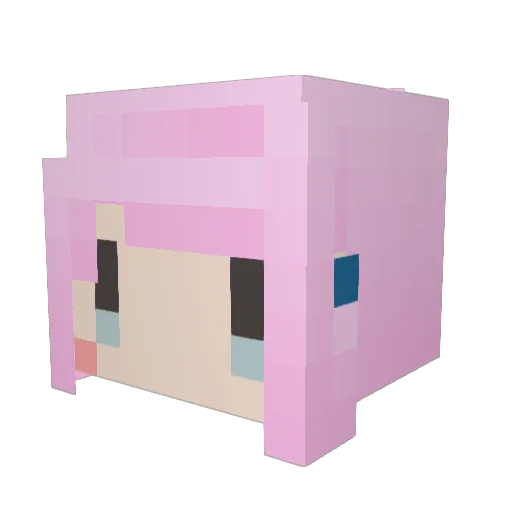 renen6240 Minecraft avatar head, 3D render