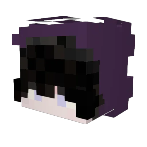 renewhatever Minecraft avatar head, 3D render