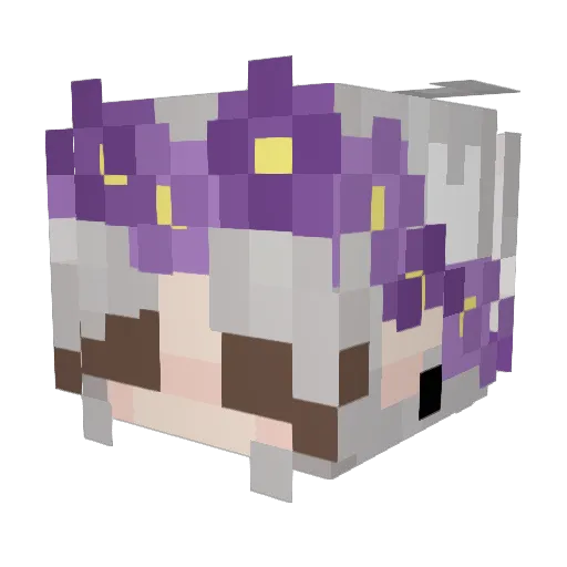 reniadrop21 Minecraft avatar head, 3D render