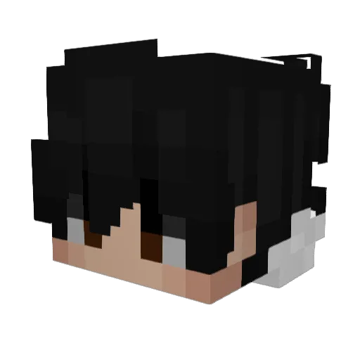 reninhooy Minecraft avatar head, 3D render