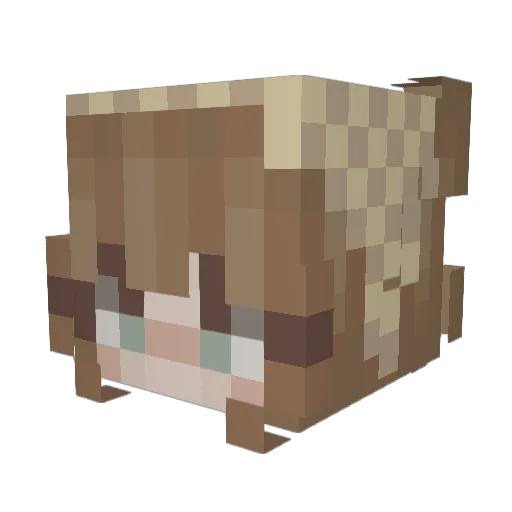 reninn Minecraft avatar head, 3D render