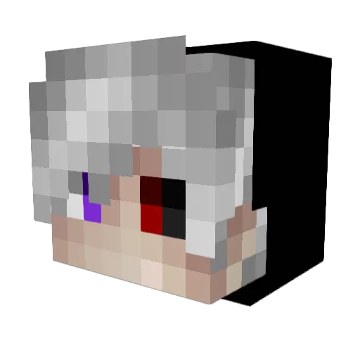 renji1116 Minecraft avatar head, 3D render