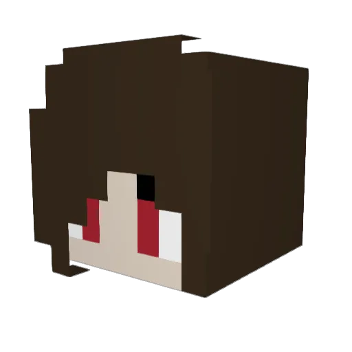 renlen0311 Minecraft avatar head, 3D render