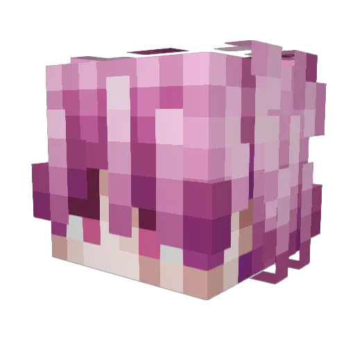 rennRawrr Minecraft avatar head, 3D render