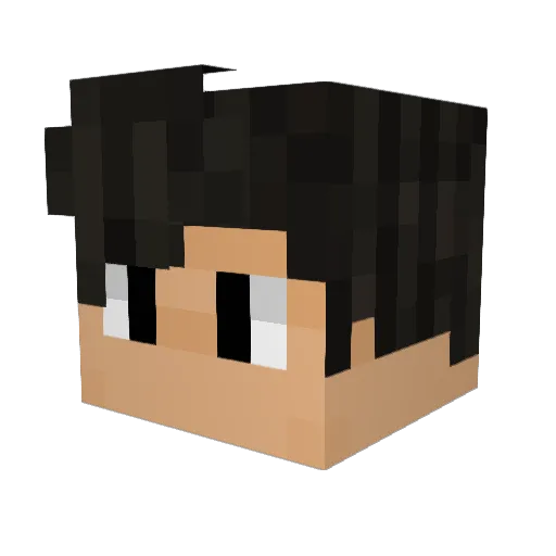 rennais Minecraft avatar head, 3D render