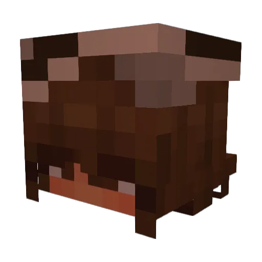 renneeiy Minecraft avatar head, 3D render