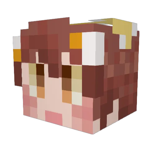 renniesaurus Minecraft avatar head, 3D render