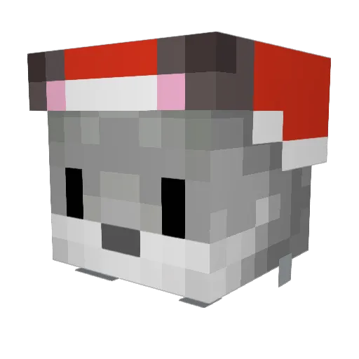 rennyy Minecraft avatar head, 3D render