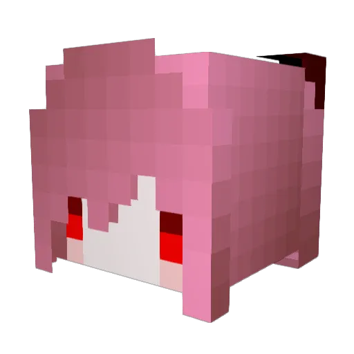 renokwan2002 Minecraft avatar head, 3D render