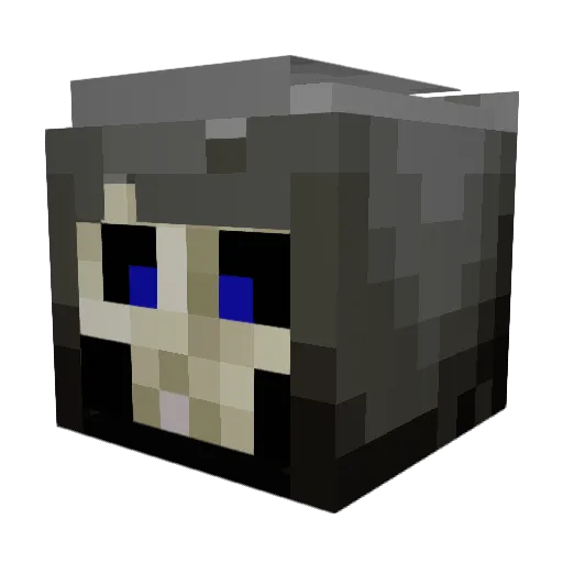 renoster88 Minecraft avatar head, 3D render