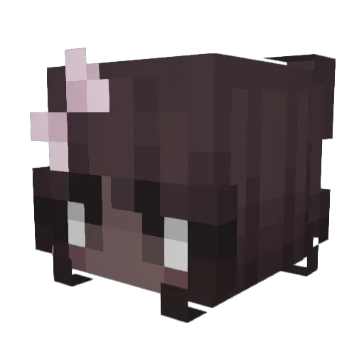 renren323 Minecraft avatar head, 3D render