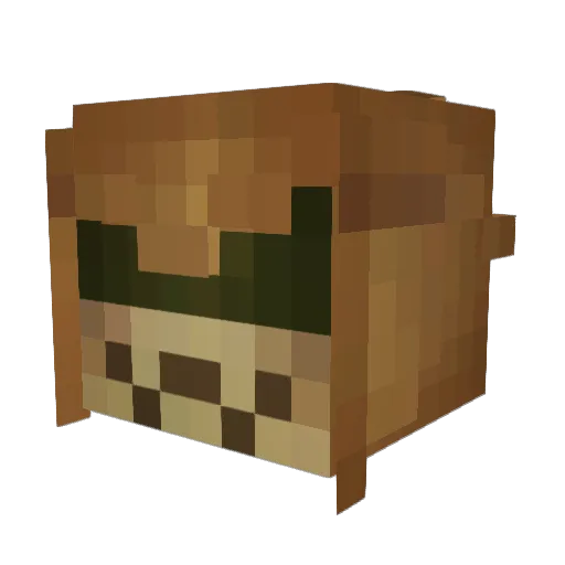 renroses_ Minecraft avatar head, 3D render