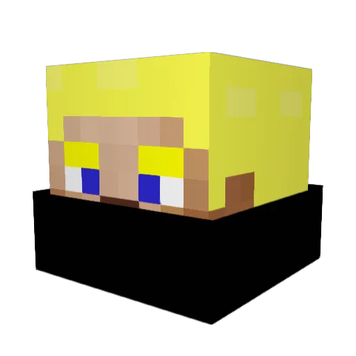 rens2905 Minecraft avatar head, 3D render