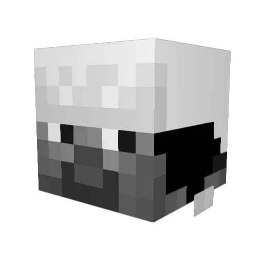 renxei Minecraft avatar head, 3D render