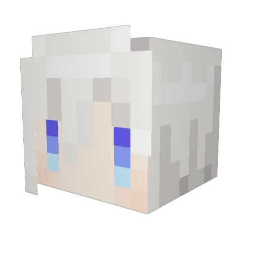 renyl0214 Minecraft avatar head, 3D render