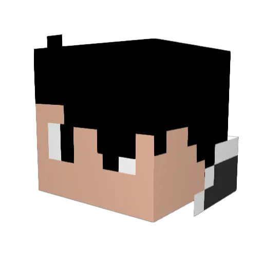 renyuupapa Minecraft avatar head, 3D render