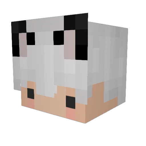 renz328 Minecraft avatar head, 3D render