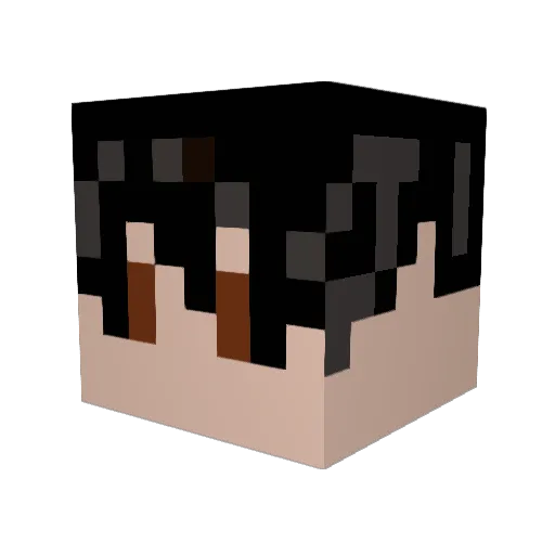 reo0207 Minecraft avatar head, 3D render