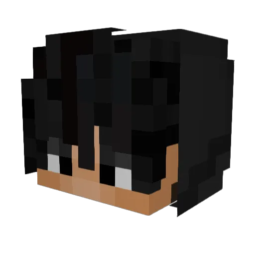 reodebeal Minecraft avatar head, 3D render