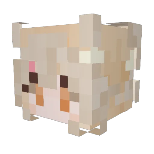 reohaf Minecraft avatar head, 3D render