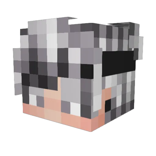 reonixMC Minecraft avatar head, 3D render