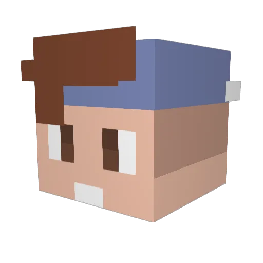 reooa Minecraft avatar head, 3D render