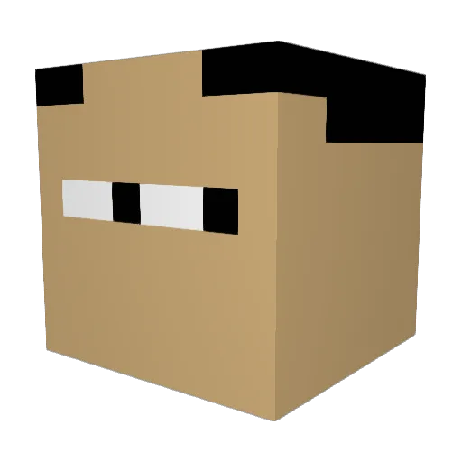 repardedboy Minecraft avatar head, 3D render