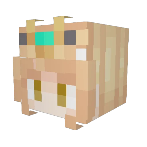 reparu53612 Minecraft avatar head, 3D render