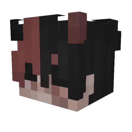 repertoire_e Minecraft avatar head, 3D render