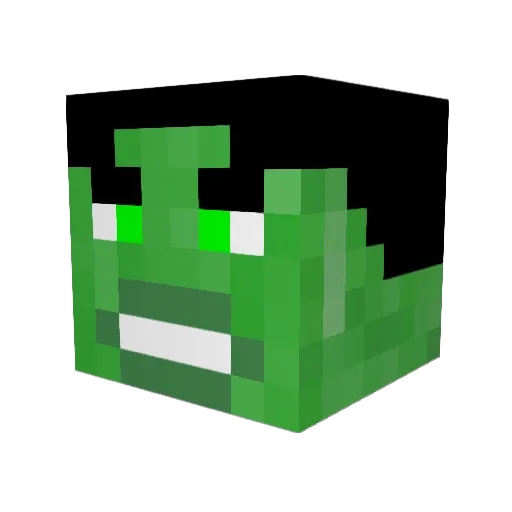 repjesus123 Minecraft avatar head, 3D render