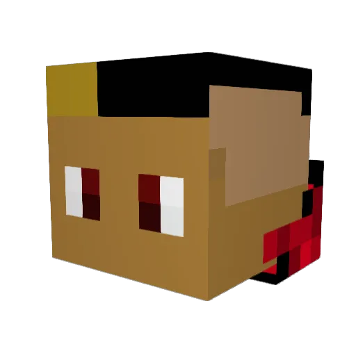 repokid Minecraft avatar head, 3D render