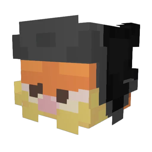 reprehensibility Minecraft avatar head, 3D render