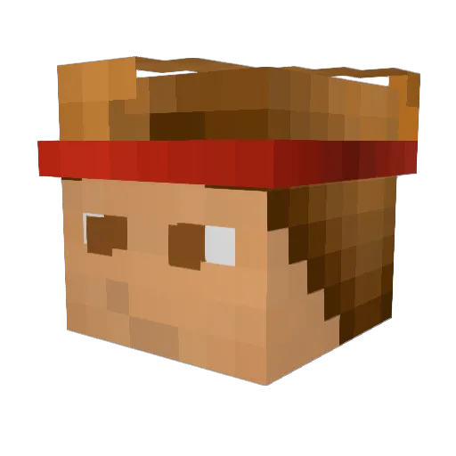 reptic23 Minecraft avatar head, 3D render