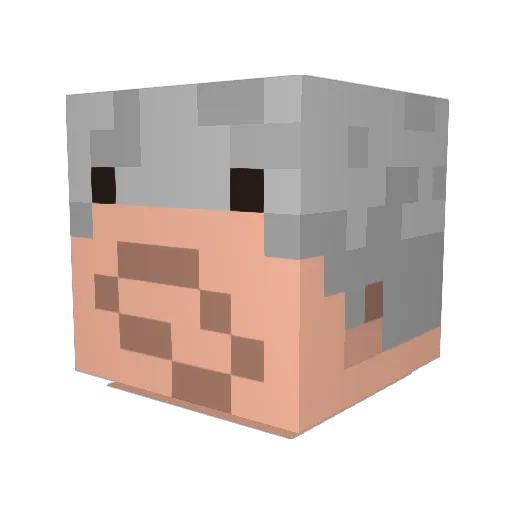 reptileking25 Minecraft avatar head, 3D render