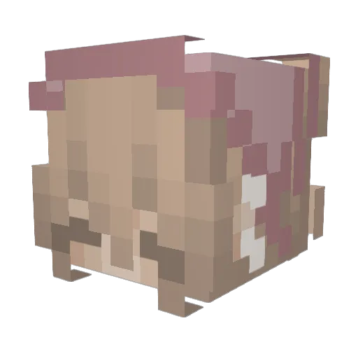 reputation13223 Minecraft avatar head, 3D render