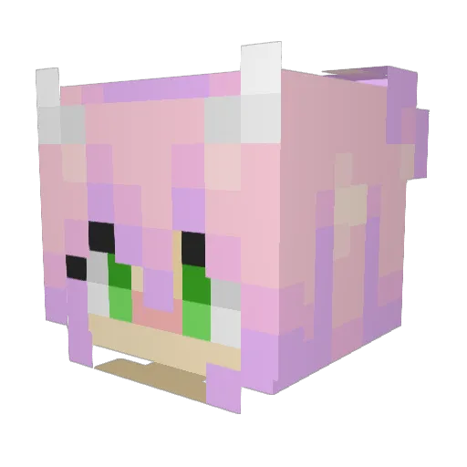 repyboi224 Minecraft avatar head, 3D render