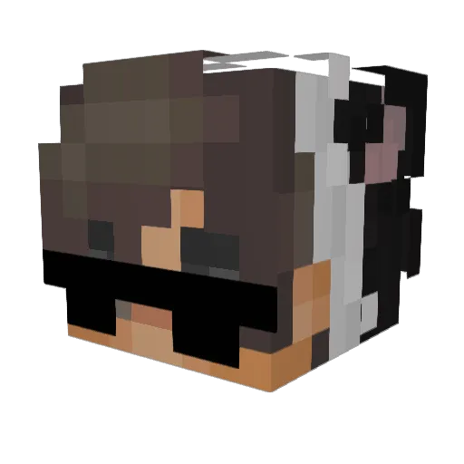 req_Ticasch Minecraft avatar head, 3D render